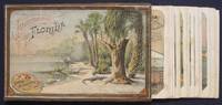 image of Illustrated Florida.