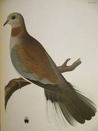Posthumous Works of Charles Otis Whitman. Vol. I - Orthogenetic Evolution in Pigeons, Vol. II -...