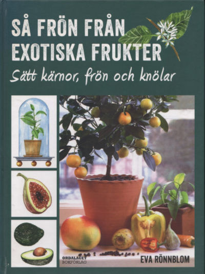 SÅ FRÖN FRÅN EXOTISKA FRUKTER. Sätt kärnor, frön…