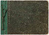 [Photo Album]: Boston Victorian Family