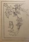 [ART NOUVEAU LEATHER DESIGNS 1908]....; (photo 16)