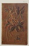 [ART NOUVEAU LEATHER DESIGNS 1908]....; (photo 17)
