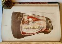 Third Annual Report of the Board of Health of the Health Department of the City of New York (April 11, 1872 to April 30, 1873