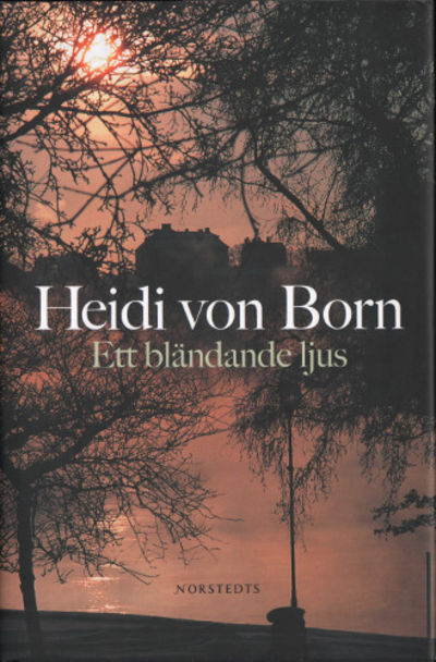 ETT BLÄNDANDE LJUS.