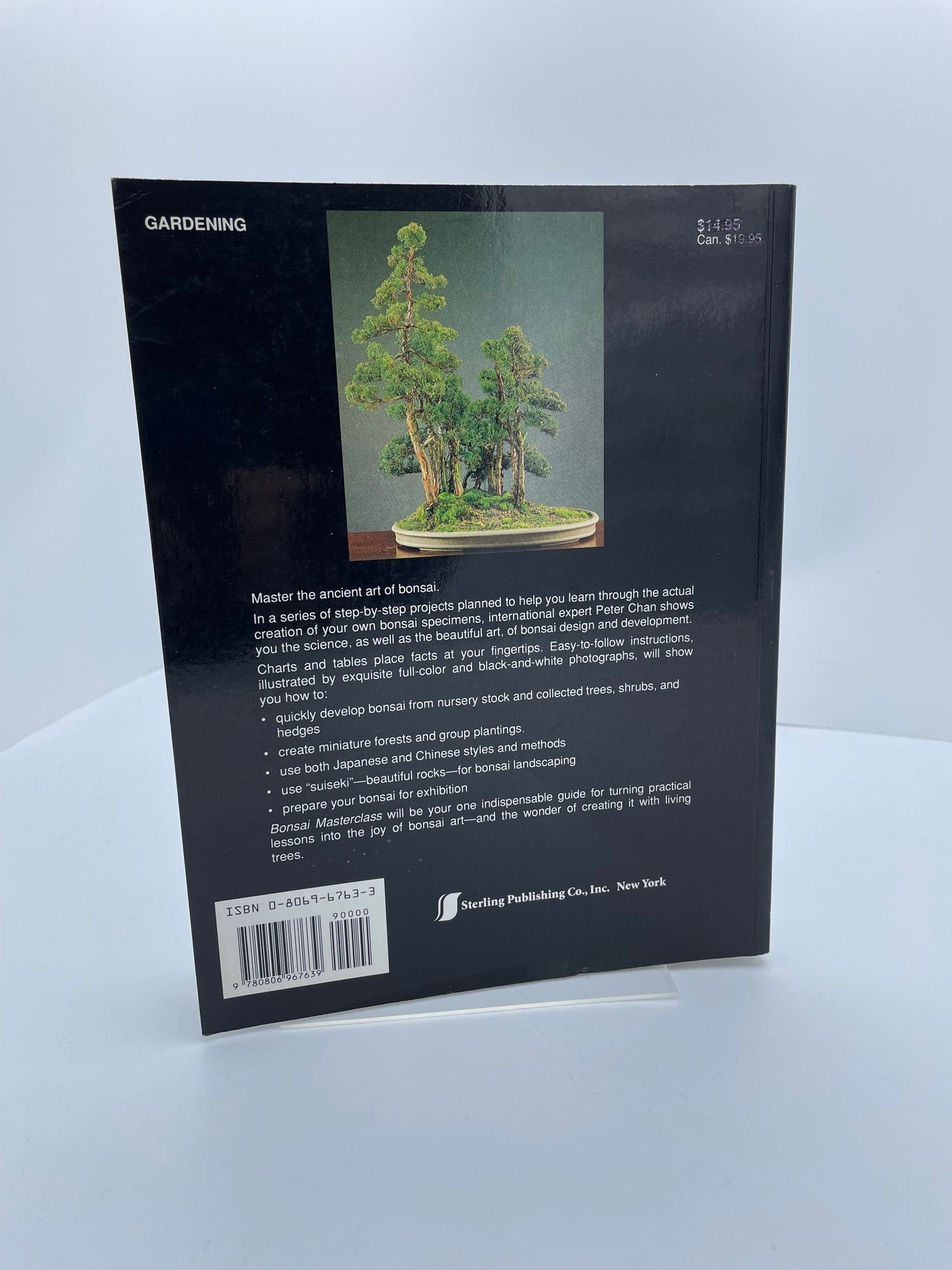 Bonsai Masterclass/All You Need to Know About Creating Bonsai from One