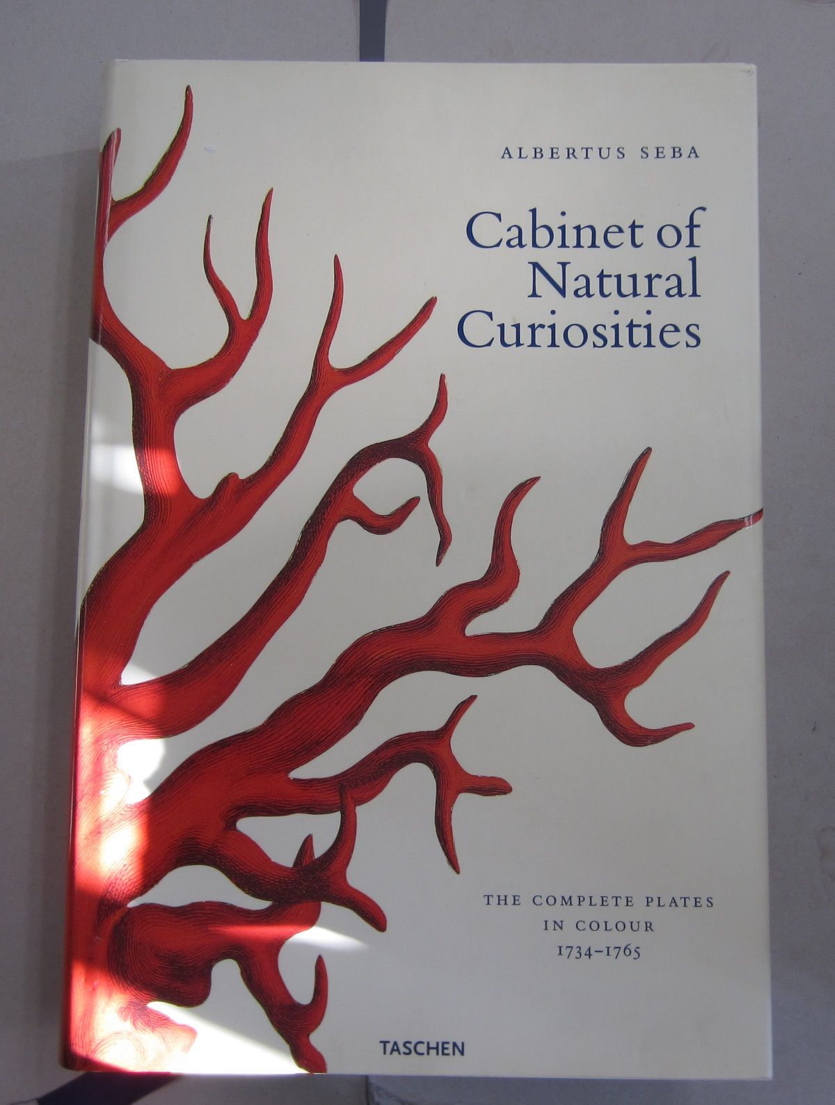 ago ⭐︎TASCHEN Cabinet of Natural Curio 91MxTKcKKYL._UF350,350_QL50_.jpg