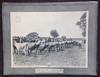 (Portfolio of 10 Photographic Plates); "Better Sires - Better Stock" Livestock Improvement Series Campaign