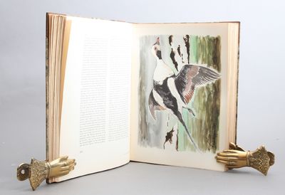 Grønlands fugle. The Birds of Greenland. Part I-III. (photo 2)
