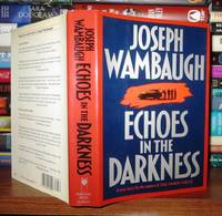 image of ECHOES IN THE DARKNESS