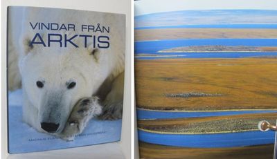 Vindar från Arktis.