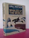 SEA GUIDE TO WHALES OF THE WORLD