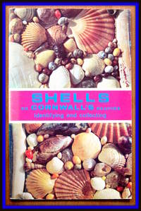 image of Shells of Cornwall's Beaches. Identifying and Collecting