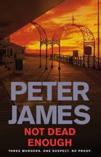Not Dead Enough. Peter James