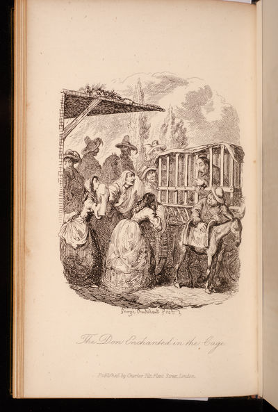 Illustrations of Don Quixote