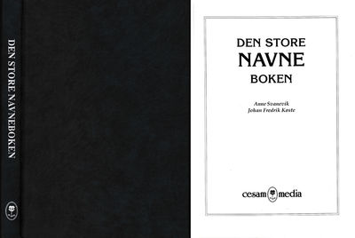 Den store navneboken.