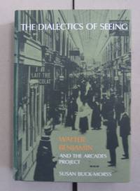 image of The Dialectics of Seeing: Walter Benjamin and the Arcades Project