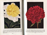 cover of Garden Flowers in Color