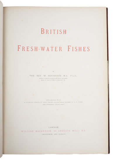 British Fresh-Water Fishes. Illustrated with a coloured Figure of each Species drawn from Nature by A.F. Lydon and numerous Engravings. (Division I-II, all). - [BEAUTIFUL WORK ON BRITISH FISH] (photo 2)