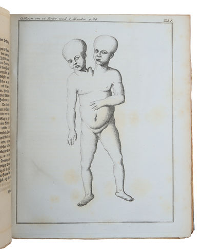 Nye Samling af det Kongelige Danske Videnskabers Selskabs Skrifter. Deel 1 - 5. (Volume 1 to 5 - all that was published).  - [COMPLETE SET OF THE SECOND SERIES OF THE TRANSACTIONS OF THE ROYAL DANISH SOCIETY OF SCIENCE] (photo 4)