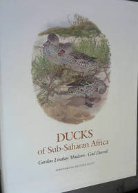 image of Ducks of Sub-Saharan Africa