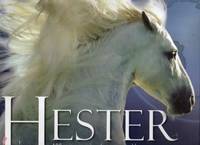 Hester. 100 rasers opprinnelse og særtrekk
