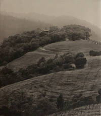 Observations From the Hillside