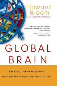 Global Brain: The Evolution of Mass Mind from the Big Bang to the 21st Century