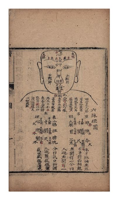 Zhao shi yi guan 趙氏醫貫 [Mr. Zhao's Principles of Medicine]