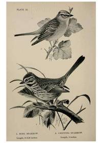 Reproducción/Reproduction 7180168231: Birdcraft :. New York :Macmillan Co.,c1897.