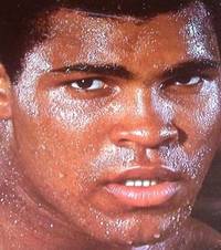 Muhammad Ali : A Portrait in Words and Photographs