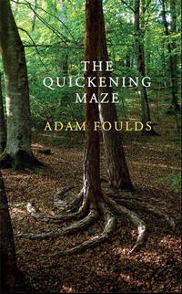 cover of The Quickening Maze