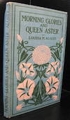 MORNING GLORIES AND QUEEN ASTER