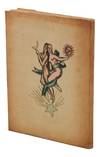 Ladies Almanack: showing their Signs and their Tides; their Moons and their Changes; the Seasons as it is with them; their Eclipses and Equinoxes; as well as a full Record of diurnal and nocturnal Distempers. Written & Illustrated by a Lady of Fashion