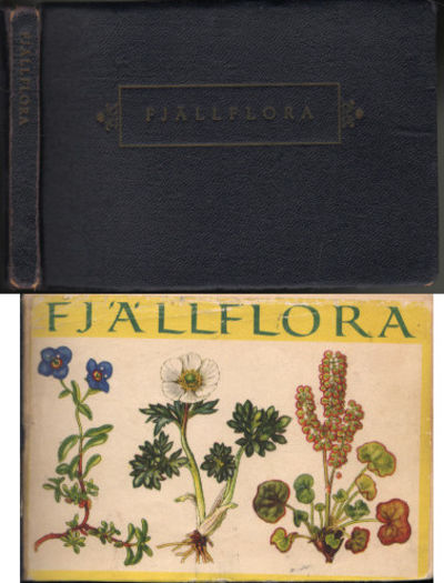 FJÄLLFLORA.