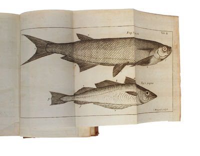 Skånska Resa, På Höga Öfwerhetens Befallning Förrättad År 1749. Med Rön och Anmärkningar Uti Oeconomien, Naturalier, Antiquiteter, Seder, Lefnads-sätt. Med Tilhörige Figurer. (photo 6)