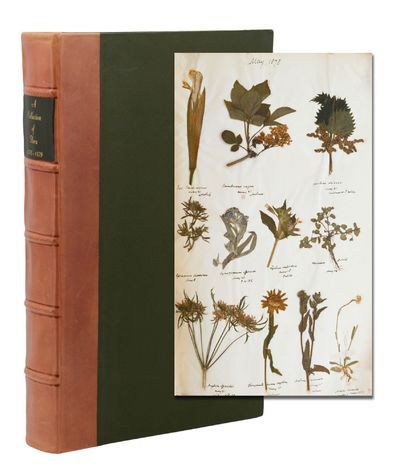 (Herbarium) A Collection of Flora 1878-1879 (spine label title)