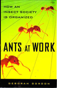 Ants At Work: How An Insect Society Is Organized