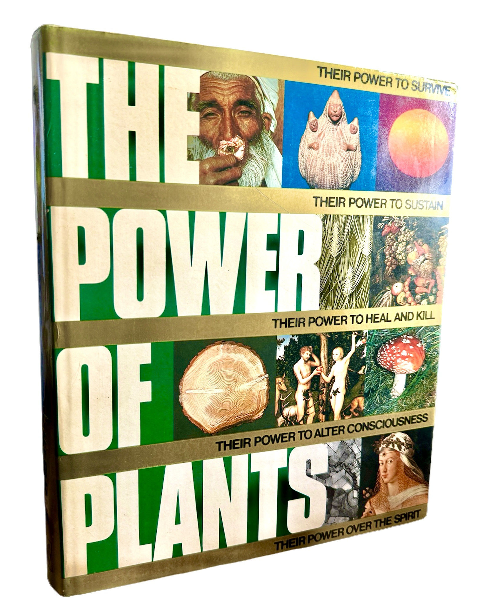 The Power of Plants