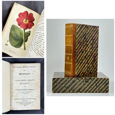 Herbarium pharmaceuticum eller Afbildninger af…