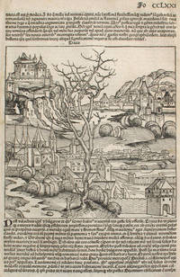 image of Thrace and Turkey, from the Nuremberg Chronicle. Woodblock