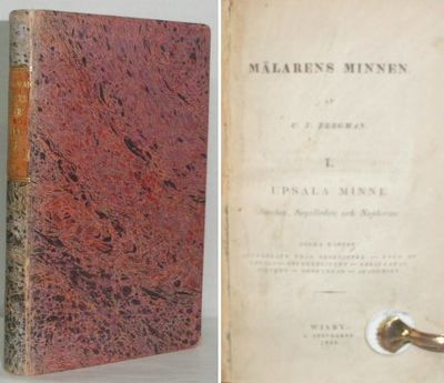 Mälarens minnen. I. Upsala minne. Staden,…