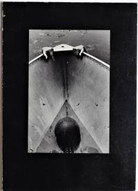 image of The Somnambulist