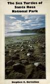 The sea turtles of Santa Rosa national park