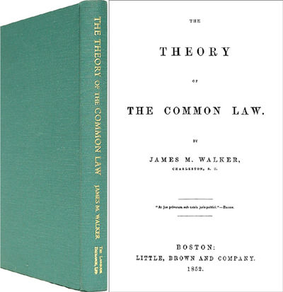 The Theory of the Common Law
