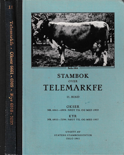 Stambok over Telemarkfe. 11. bind. Okser Nr.…