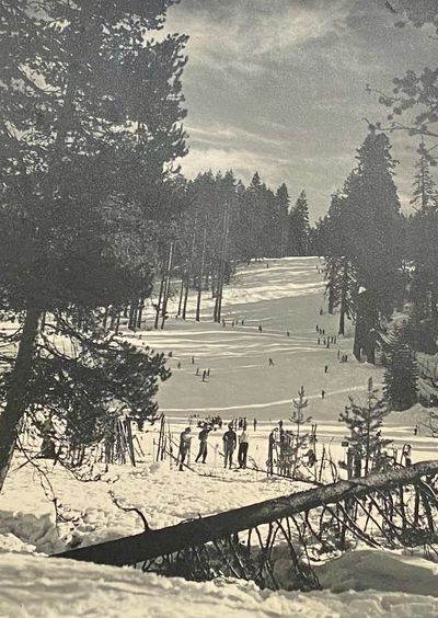 Badger Pass - Yosemite