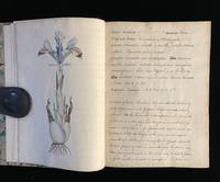 MEMORANDA OF CURTIS'S BOTANICAL MAGAZINE 1822 - c1832