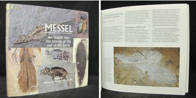 Messel. An insight into the history of life the…