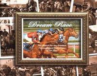 Dream Race : The Search for the Greatest Thoroughbred Race Horse of All-Time