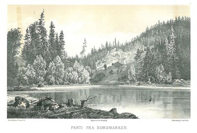 Parti fra Nordmarken.